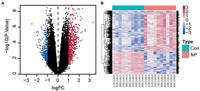Functional investigation and two-sample Mendelian randomization study of neuropathic pain hub genes obtained by WGCNA analysis